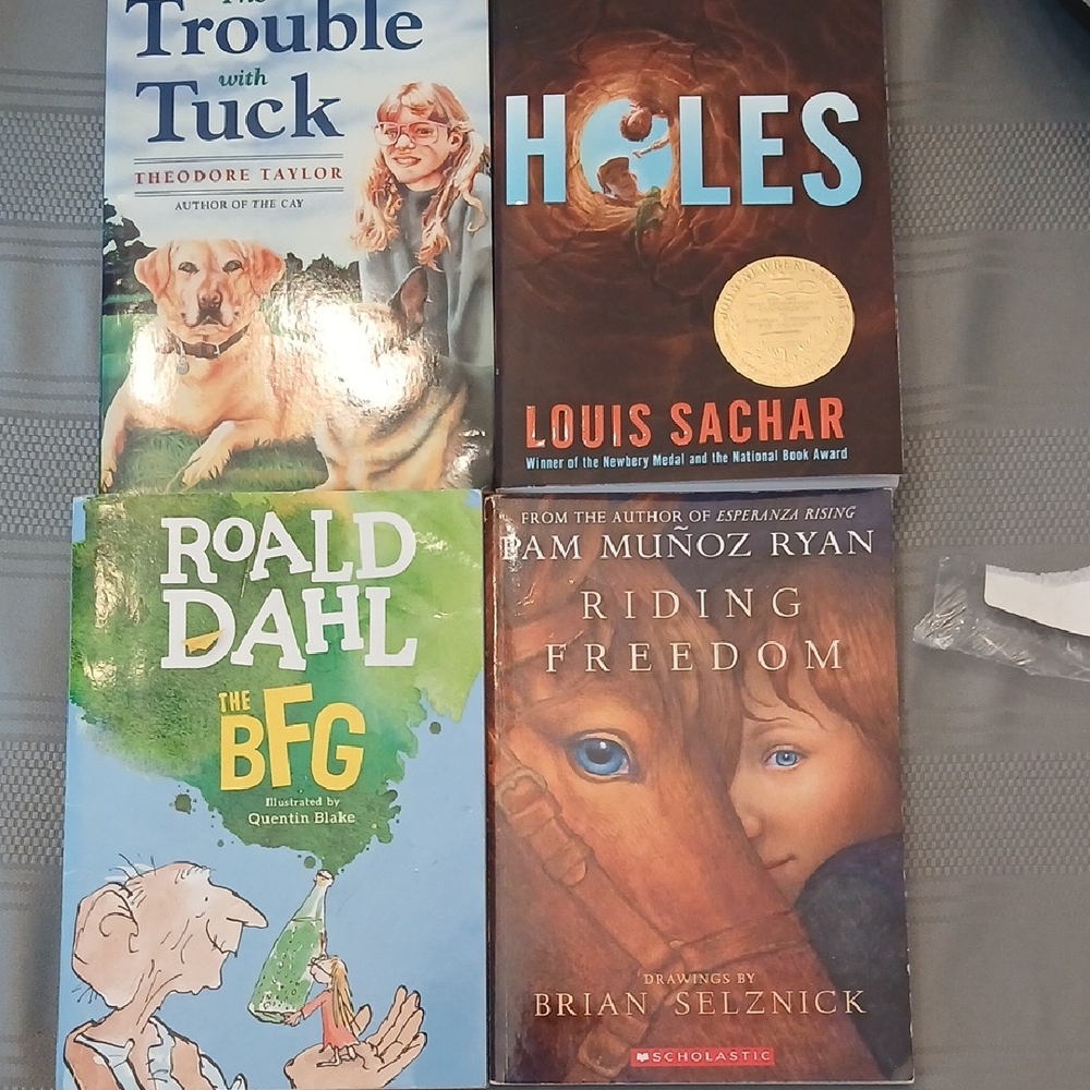 Kids Book Set - Roald Dahl, Louis Sachar, Theodore Taylor, Pam Munoz Ryan